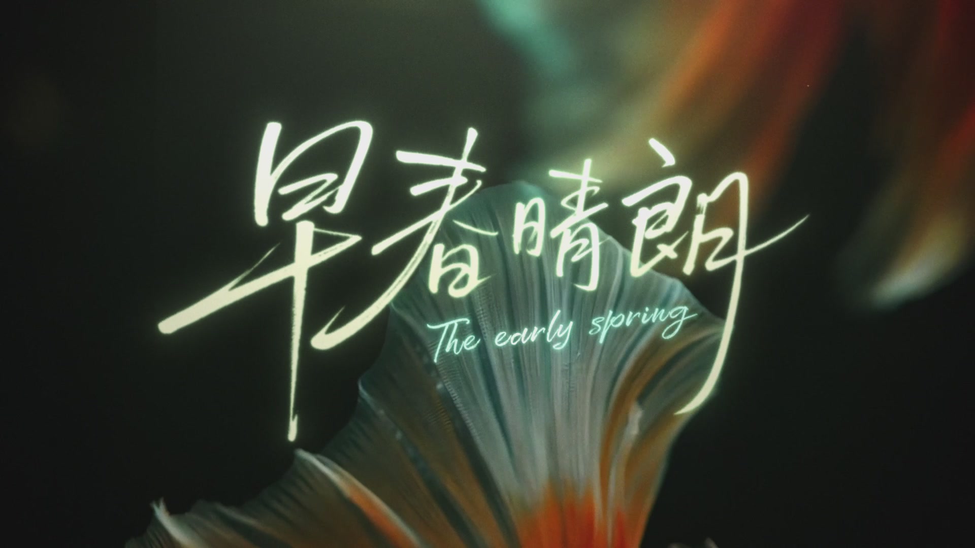 《早春晴朗》电视剧介绍